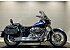 2010 Harley-Davidson CVO