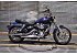 2010 Harley-Davidson Dyna