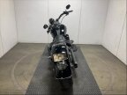 Thumbnail Photo 3 for 2010 Harley-Davidson Softail