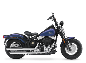 2010 Harley-Davidson Softail
