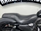 Thumbnail Photo 5 for 2010 Harley-Davidson Sportster
