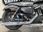 Thumbnail Photo 6 for 2010 Harley-Davidson Sportster