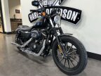 Thumbnail Photo 1 for 2010 Harley-Davidson Sportster