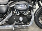 Thumbnail Photo 3 for 2010 Harley-Davidson Sportster
