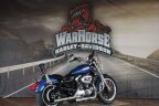 Thumbnail Photo 2 for 2010 Harley-Davidson Sportster