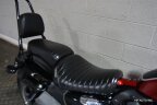 Thumbnail Photo 6 for 2010 Harley-Davidson Sportster