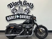 2010 Harley-Davidson Sportster