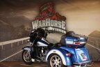 Thumbnail Photo 3 for 2010 Harley-Davidson Trike
