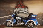 Thumbnail Photo 4 for 2010 Harley-Davidson Trike
