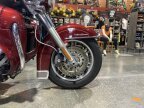 Thumbnail Photo 1 for 2010 Harley-Davidson Trike