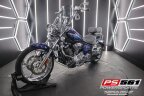 Thumbnail Photo 2 for 2010 Yamaha Raider