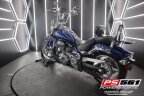 Thumbnail Photo 4 for 2010 Yamaha Raider