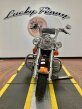 Thumbnail Photo 2 for 2011 Harley-Davidson Softail