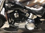 Thumbnail Photo 5 for 2011 Harley-Davidson Softail