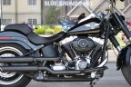 Thumbnail Photo 1 for 2011 Harley-Davidson Softail