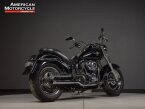 Thumbnail Photo 2 for 2011 Harley-Davidson Softail