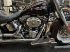 Thumbnail Photo 5 for 2011 Harley-Davidson Softail