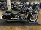 Thumbnail Photo 4 for 2011 Harley-Davidson Softail