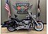 2011 Harley-Davidson Softail