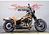 2011 Harley-Davidson Softail