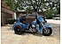2011 Harley-Davidson Trike