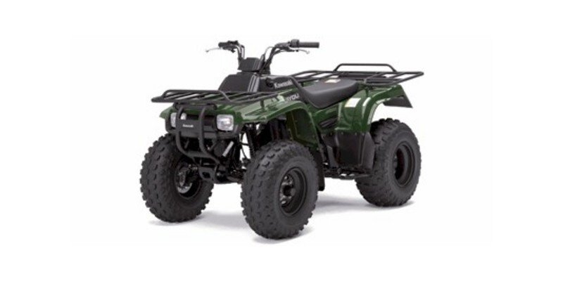 2011 Kawasaki Bayou 220 250 specifications