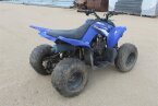 Thumbnail Photo 2 for 2011 Yamaha Raptor 90