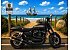 2012 Harley-Davidson Sportster