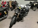 Thumbnail Photo 3 for 2012 Triumph Speed Triple