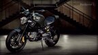 Thumbnail Photo 4 for 2013 Ducati Monster 1100 for Sale by Owner