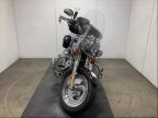 Thumbnail Photo 1 for 2013 Harley-Davidson Softail