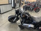 Thumbnail Photo 6 for 2013 Harley-Davidson Softail