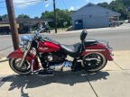 Thumbnail Photo 3 for 2013 Harley-Davidson Softail