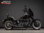Thumbnail Photo 1 for 2013 Harley-Davidson Softail