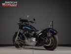 Thumbnail Photo 4 for 2013 Harley-Davidson Softail Slim