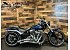 2013 Harley-Davidson Softail
