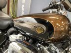 Thumbnail Photo 4 for 2013 Harley-Davidson Sportster 1200 Custom Anniversary