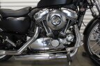 Thumbnail Photo 6 for 2013 Harley-Davidson Sportster