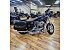 2013 Harley-Davidson Sportster 1200 Custom