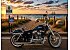 2013 Harley-Davidson Sportster