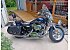 2013 Harley-Davidson Sportster 1200 Custom