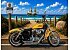 2013 Harley-Davidson Sportster
