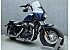 2013 Harley-Davidson Sportster