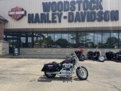 2013 Harley-Davidson Sportster 1200 Custom CP