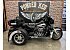 2013 Harley-Davidson Trike