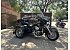 2013 Harley-Davidson Trike