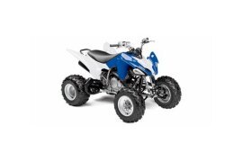 2013 Yamaha Raptor 125 250 specifications