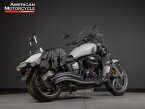 Thumbnail Photo 2 for 2013 Yamaha Stryker