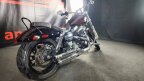 Thumbnail Photo 3 for 2014 Harley-Davidson Dyna