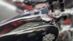 Thumbnail Photo 6 for 2014 Harley-Davidson Dyna